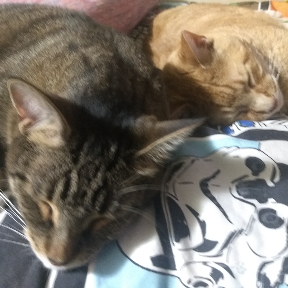 100k THANK YOU FRIENDS - Picture 12 of 14